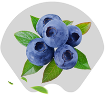 Organic Fresh Blueberry
