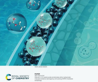 Blueberry extract can effectively protect intestinal cells from OXIDATIVE damage induced by EC